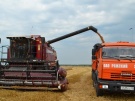 В хозяйствах Ряжского района собирают по 35 и более центнеров зерна с гектара