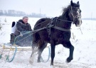 В Сасовском районе состоялся праздник «Зимние забавы» и конно-спортивные соревнования