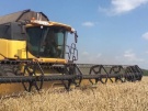 Рязанская область: обмолочено около 95% зерновых культур