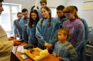 Школьников познакомили с работой факультета ветеринарной медицины и биотехнологии Рязанского агроуниверситета