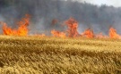 Стали известны подробности пожара в Захаровском районе