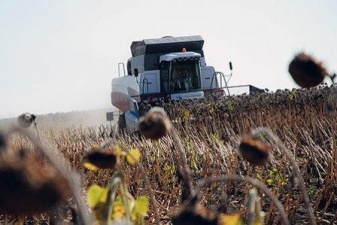 Урожай подсолнечника и кукурузы собран выше прошлогоднего и в Рязанской области, и в целом по стране