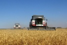 В Рязанской области намолочено более 1 миллиона тонн зерна