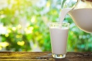 Молочная отрасль-2016: неопределенность сохраняется