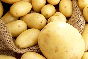 В Рязанской области началась уборка раннего картофеля
