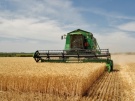 Минсельхоз России: собрано около 15 млн тонн зерна по состоянию на 12 июля