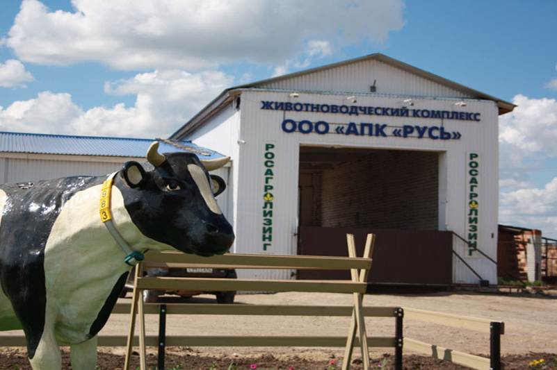 «Российское село-2017»: Рязанская область представила опыт развития сельских территорий «Российское село-2017»: Рязанская область представила опыт развития сельских территорий