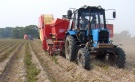 Аграрии Рязанской области приступили к уборке картофеля и овощей