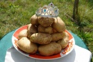 В Цареве Ермишинского района отметили День картошки