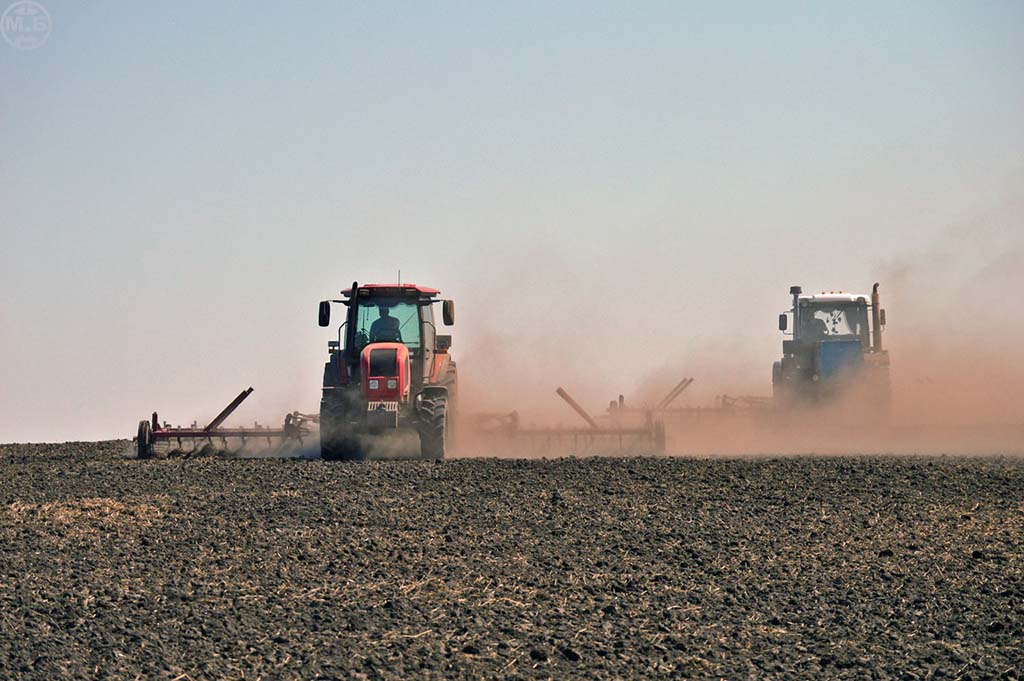 Рязанская область: посеяно 64% яровых зерновых культур