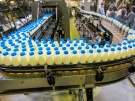Минсельхоз России держит на контроле уровень закупочных цен на молоко