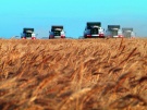 Рязанская область: лидеры в битве за урожай