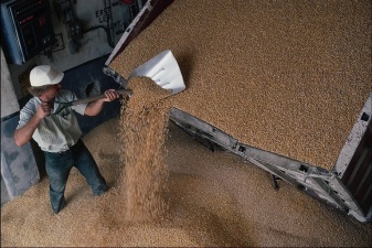 В закромах Рязанской области – 572 тысячи тонн зерна нового урожая