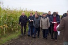 В Рязанской области площади под кукурузой на зерно выросли в 800 раз