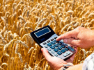 Рязанским аграриям с начала 2024 года оказана господдержка в размере около полумиллиарда рублей