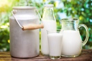 Три рязанских производителя вошли в российский «Топ-50 предприятий-производителей сырого молока»