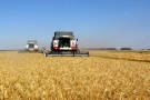 Рязанские аграрии намолотили более 140 тысяч тонн зерна урожая 2015 года