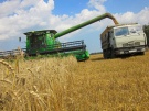 В Рязанской области обмолочено более 50% площади зерновых и зернобобовых культур