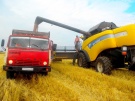 В Сасовском районе начали уборку пшеницы и ячменя