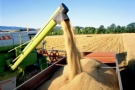 Аграрии Александро-Невского района Рязанской области намолотили более 100 тысяч тонн зерна