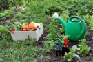 Рязанская область: субсидии на развитие садоводческих товариществ