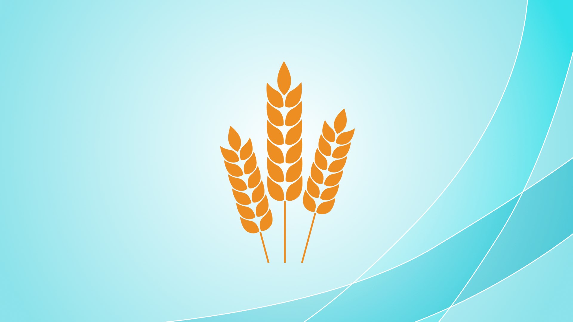 Рязанские аграрии подают документы на субсидии в электронном виде