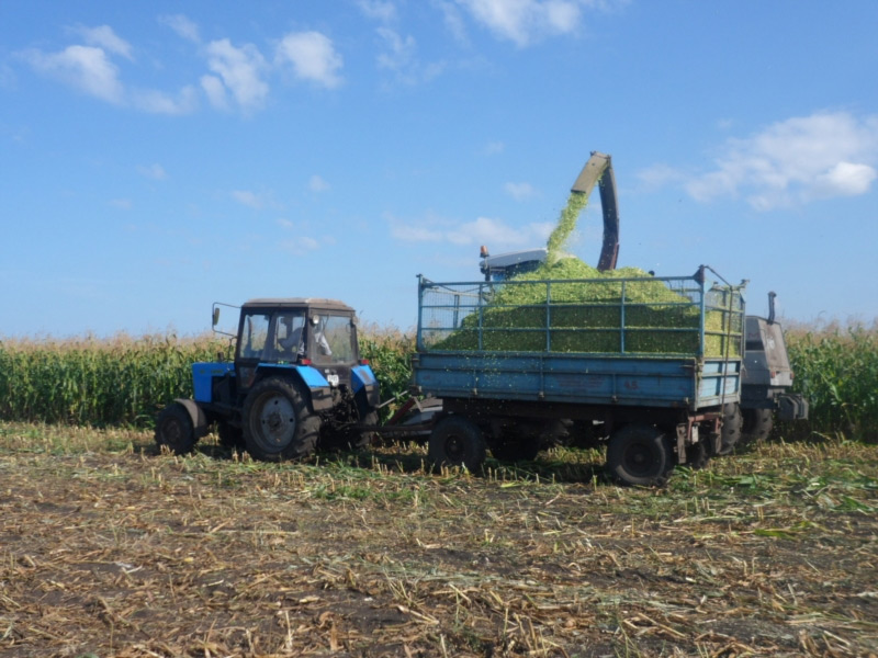 Заготовка кормов в Рязанской области ведется высокими темпами