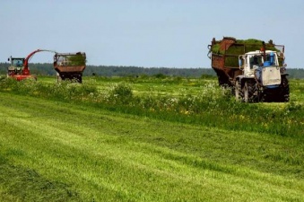 В Рязанской области заготовлено 134 тыс. тонн грубых  и 16 тыс. тонн сочных кормов