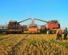 Поздравляем земледельцев Михайловского района с намолотом 100 тысяч тонн зерна!