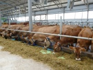 По итогам 2014 года рост производства молока в сельхозпредприятиях составил 4,6%
