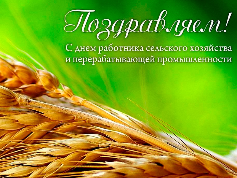 31 октября в Рязани проходят мероприятия, посвященные Дню работника сельского хозяйства и перерабатывающей промышленности