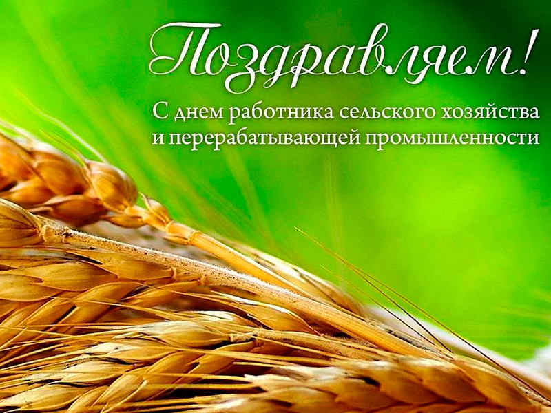 31 октября в Рязани проходят мероприятия, посвященные Дню работника сельского хозяйства и перерабатывающей промышленности 31 октября в Рязани проходят мероприятия, посвященные Дню работника сельского хозяйства и перерабатывающей промышленности