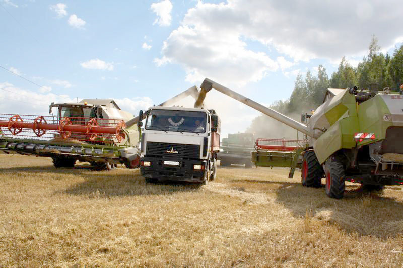 В Рязанской области обмолочено 360 тысяч гектаров зерновых