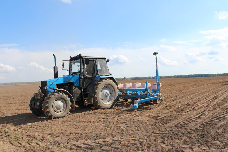В Рязанской области начался сев кукурузы