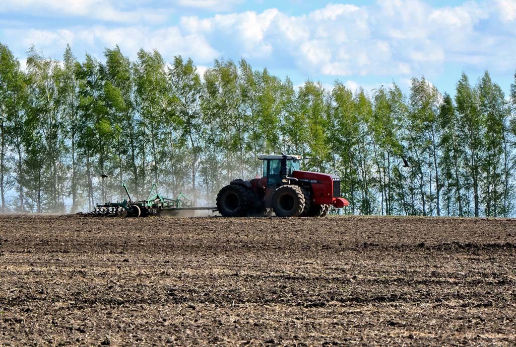Весенний сев в Рязанской области проведён более чем наполовину