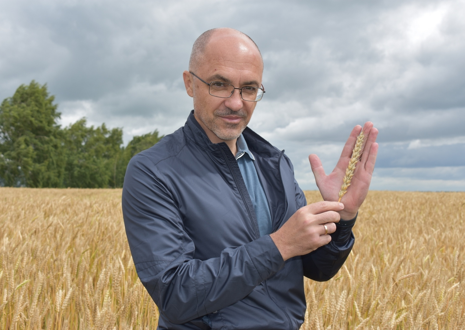 Поздравление с Днём работника сельского хозяйства и перерабатывающей промышленности