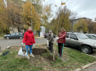 Сотрудники минсельхоза Рязанской области в ходе Дня озеленения посадили липы