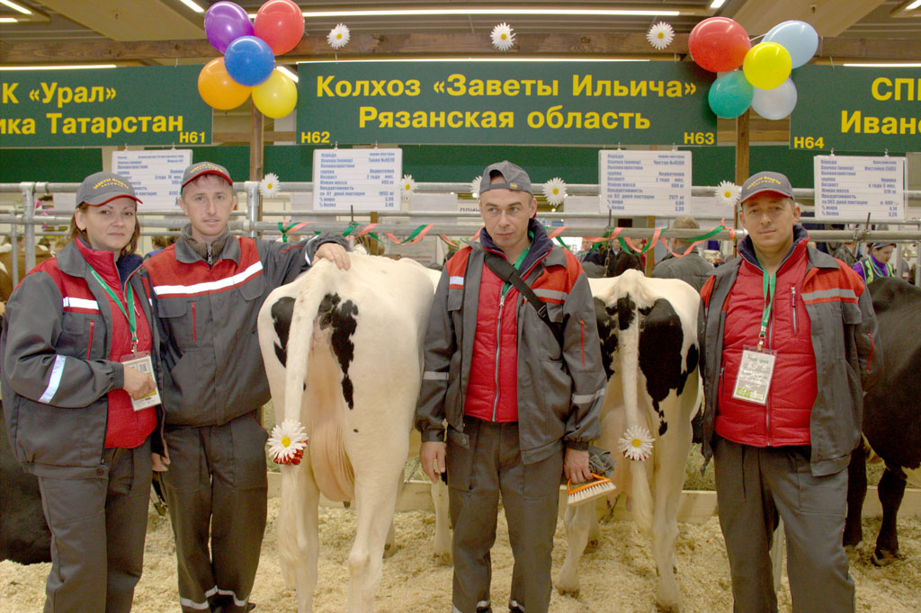Рязанских коров показали на главном аграрном форуме страны