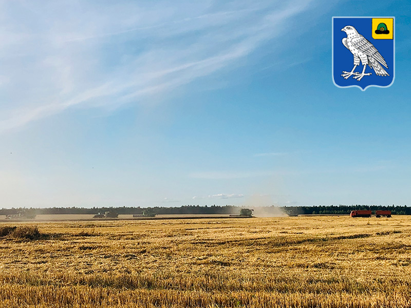 Сапожковские аграрии собрали 100 тыс. тонн зерна, достигнув наивысшей урожайности в Рязанской области