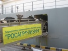 В Пронский район доставлены 587 нетелей из Канады