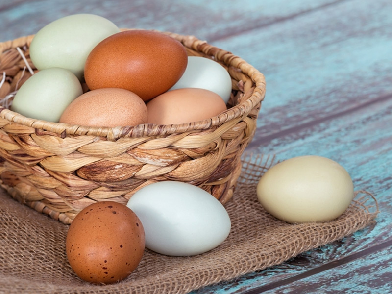 За два месяца 2017 года в хозяйствах Рязанской области произведено 115 миллионов яиц