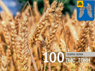 Михайловские аграрии собрали 100 тыс. тонн зерна нового урожая