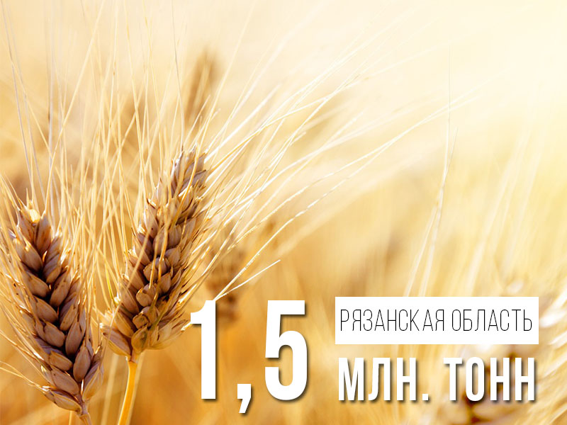 Намолочено 1,5 млн. тонн зерна! Намолочено 1,5 млн. тонн зерна!