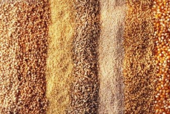 Обзор ситуации на зерновом рынке в Рязанской области: запасы зерна почти на четверть больше прошлогодних
