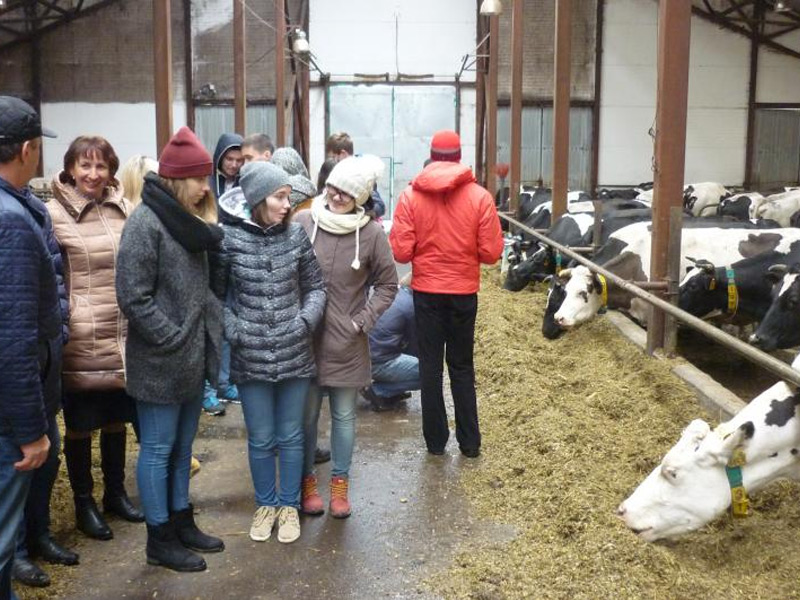 Рязанские студенты-аграрии побывали в хозяйствах Александро-Невского района