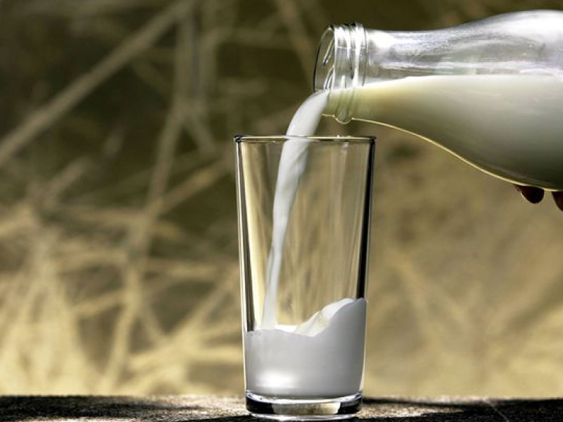 В 2017 году в Рязанской области личные подсобные хозяйства граждан получат поддержку на производство молока