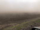 Пыльные бури уничтожили посевы в Рязанской области