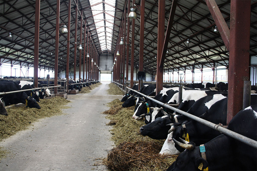 Рязанская область вошла в Топ-30 регионов-лидеров в производстве молока в сельхозпредприятиях в 2017 году