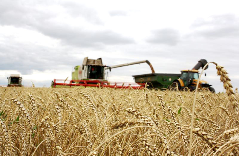 В Рязанской области продолжается уборка зерновых культур