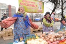 В Рязани состоялись праздничные ярмарки выходного дня